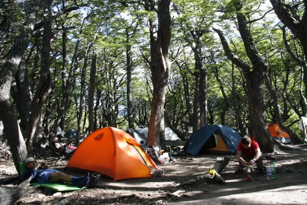 Foto Campamento Poincenot